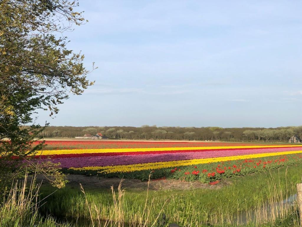 הוילה Sint Maartensvlotbrug Meno Mosso מראה חיצוני תמונה